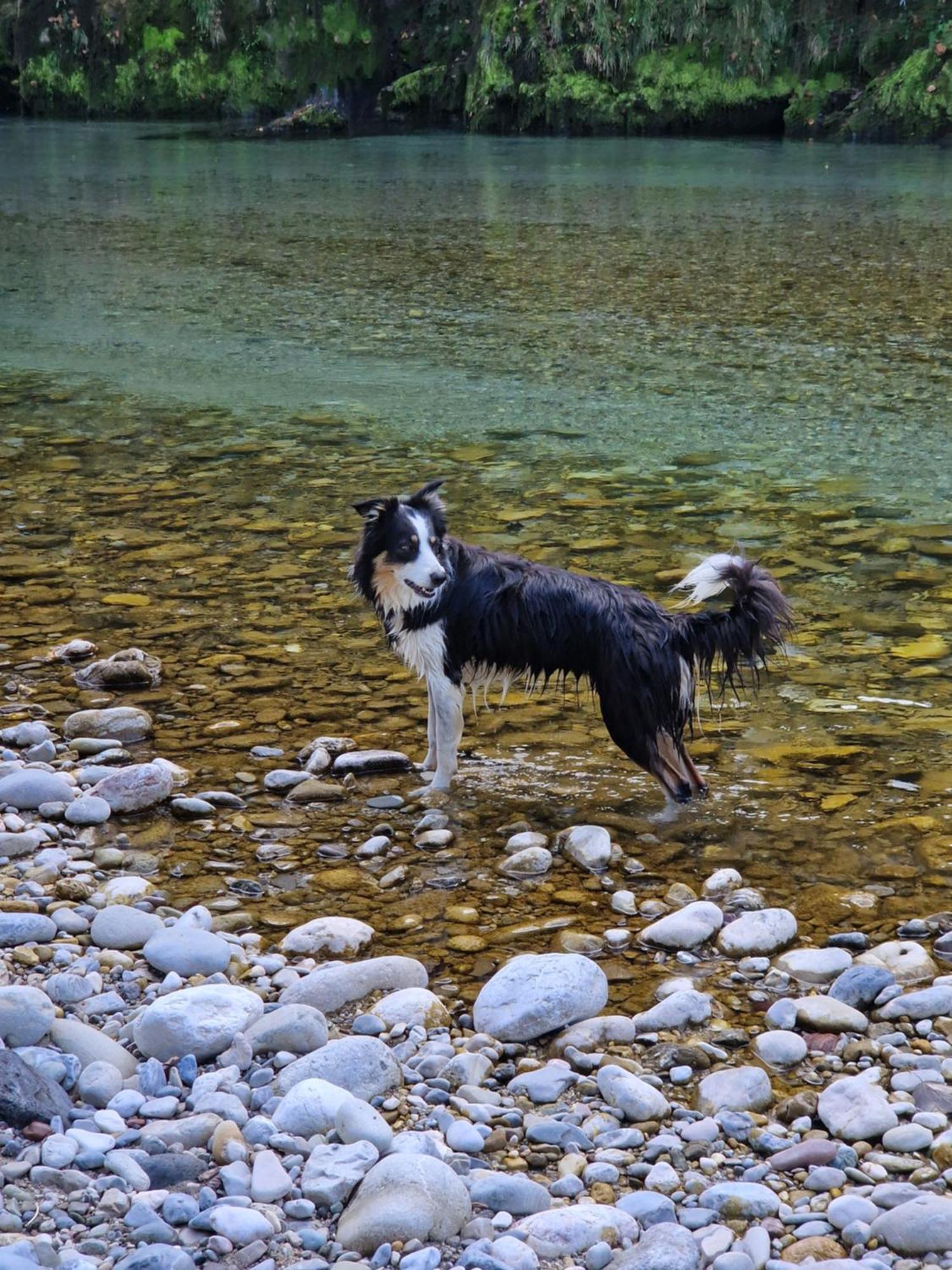 Kachelofenwohnung Poelzleitner Annaberg im Lammertal Bagian luar foto